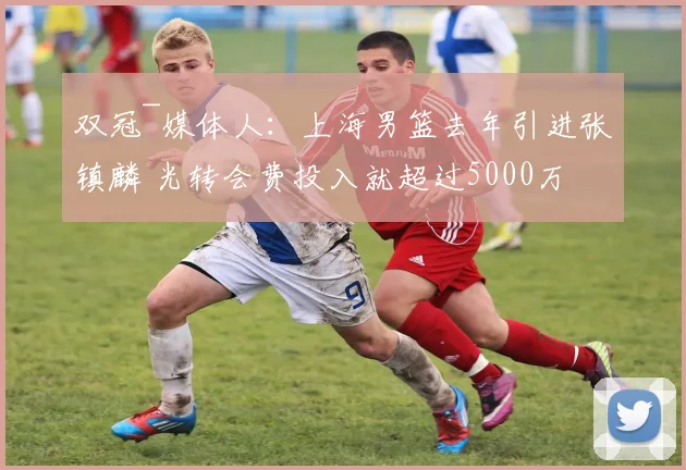 双冠~媒体人:上海男篮去年引进张镇麟 光转会费投入就超过5000万