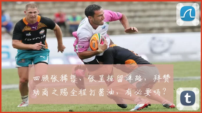 回顾张稀哲、张呈栋留洋路，拜赞助商之赐全程打酱油，有必要吗？_德甲_狼堡_什么